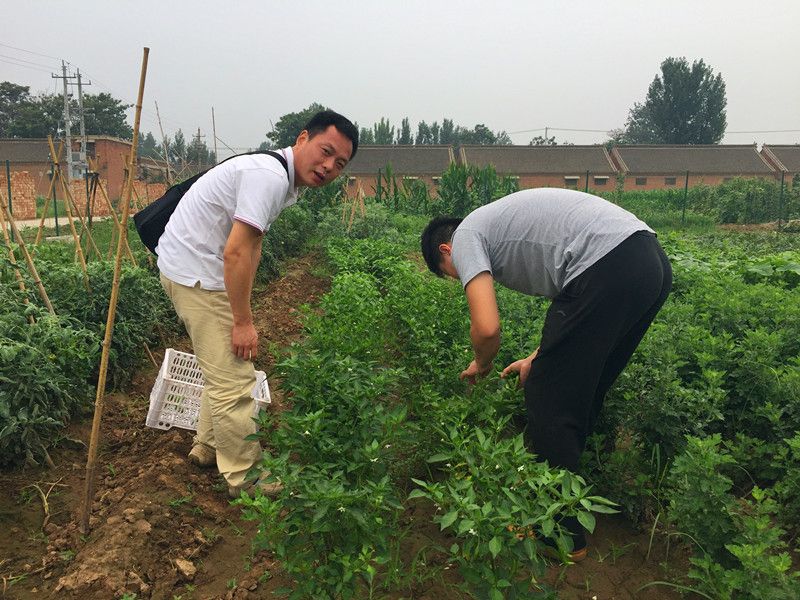 好利來(lái)郭總喊您來(lái)摘菜啦！綠色無(wú)公害，放心！