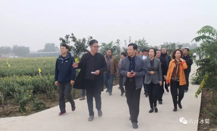 云臺冰菊基地發(fā)生了什么？一批批領(lǐng)導(dǎo)專家團(tuán)隊(duì)前來！